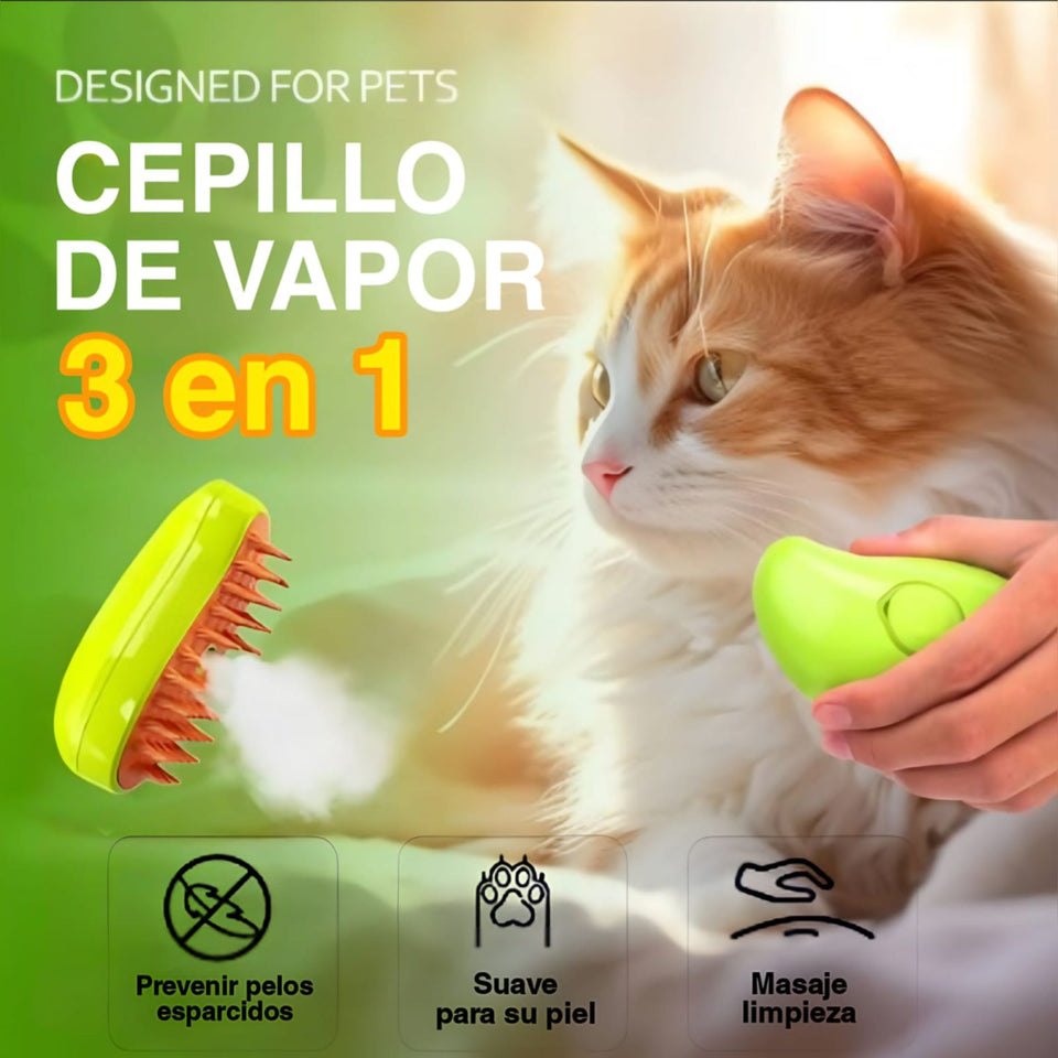 CEPILLO DE VAPOR 3 EN 1